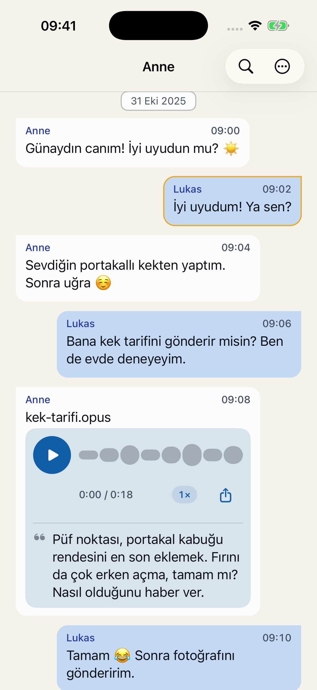 Chat Archive'da Anne ile kurgusal bir sohbet: günaydın mesajı, portakallı kek tarifi ve bir sesli mesaj.