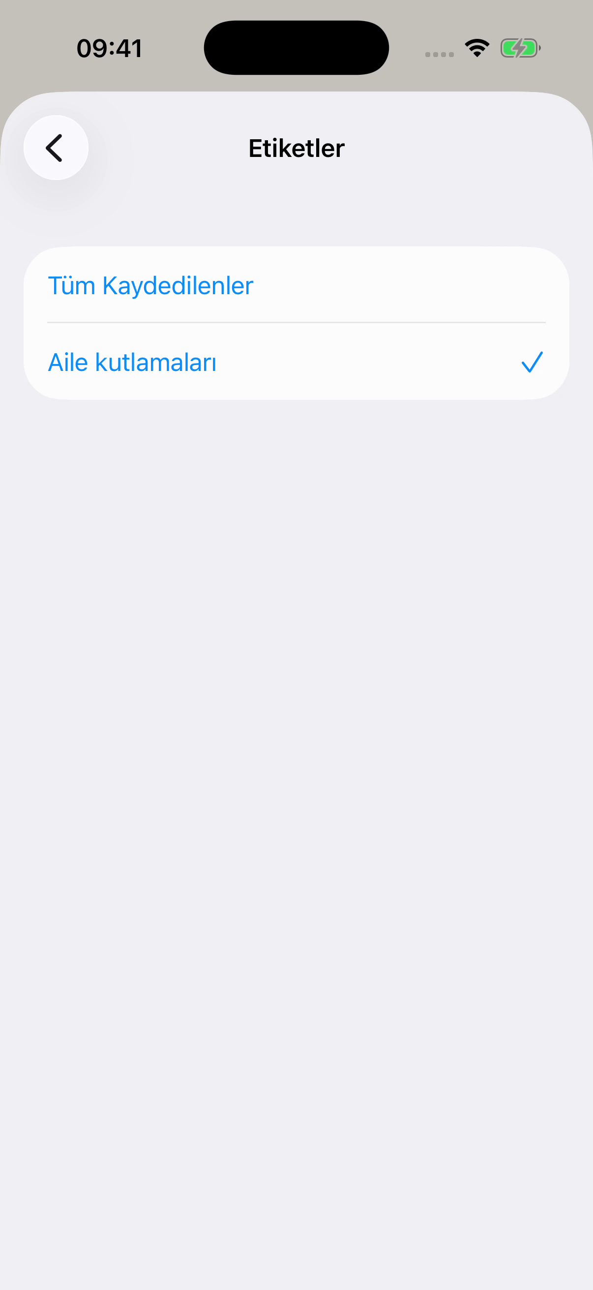 Chat Archive'ın Etiketler ekranında Aile kutlamaları seçili, üstünde Tüm Kaydedilenler bulunuyor. Kurgusal örnek.