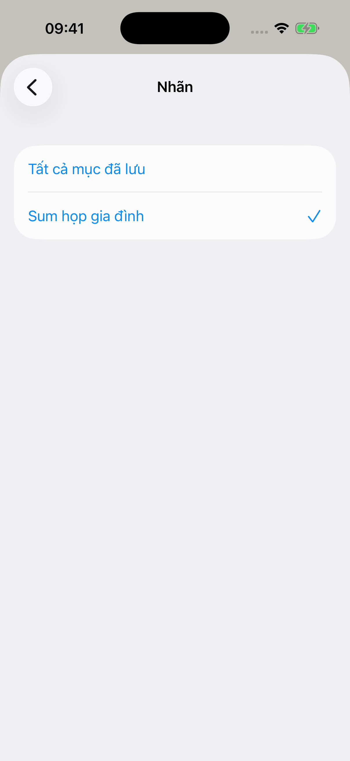 Màn hình Nhãn của Chat Archive với Sum họp gia đình được chọn và Tất cả mục đã lưu ở phía trên. Ví dụ hư cấu.