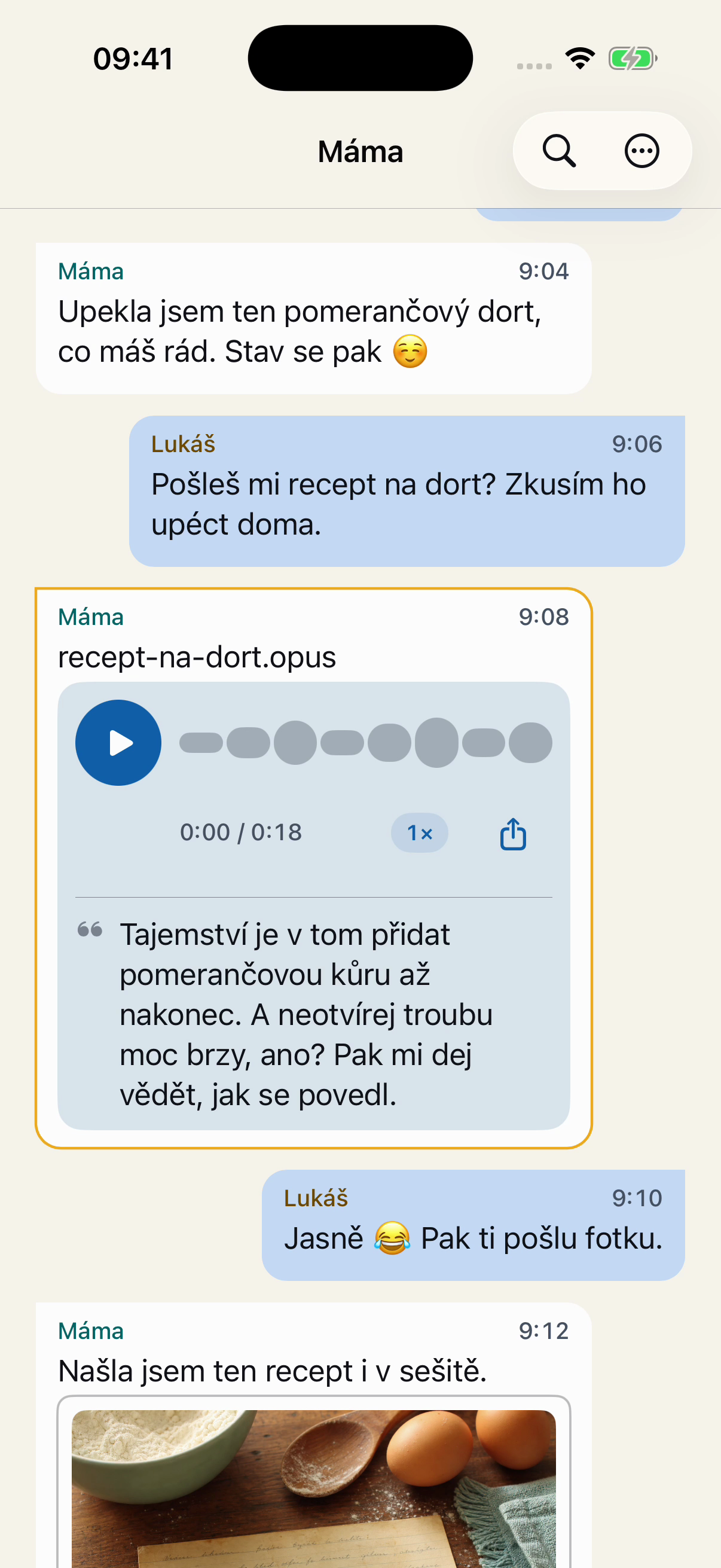 Fiktivní zprávy v původním pořadí v Chat Archive: Lukáš prosí o recept, Máma posílá hlasovou zprávu a on slibuje fotku dortu.
