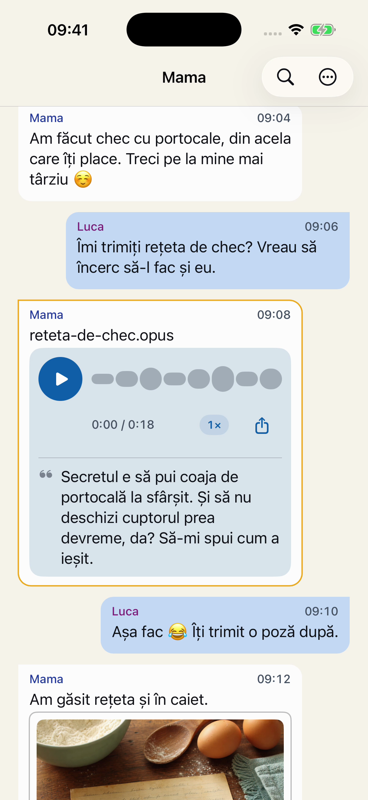Mesaje fictive în ordine în Chat Archive: Luca cere rețeta, Mama trimite un mesaj vocal, iar el promite o fotografie cu checul.
