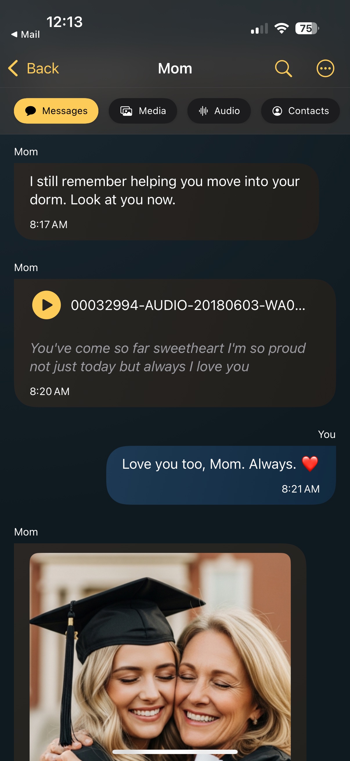 Chat Archive app showing searchable WhatsApp messages